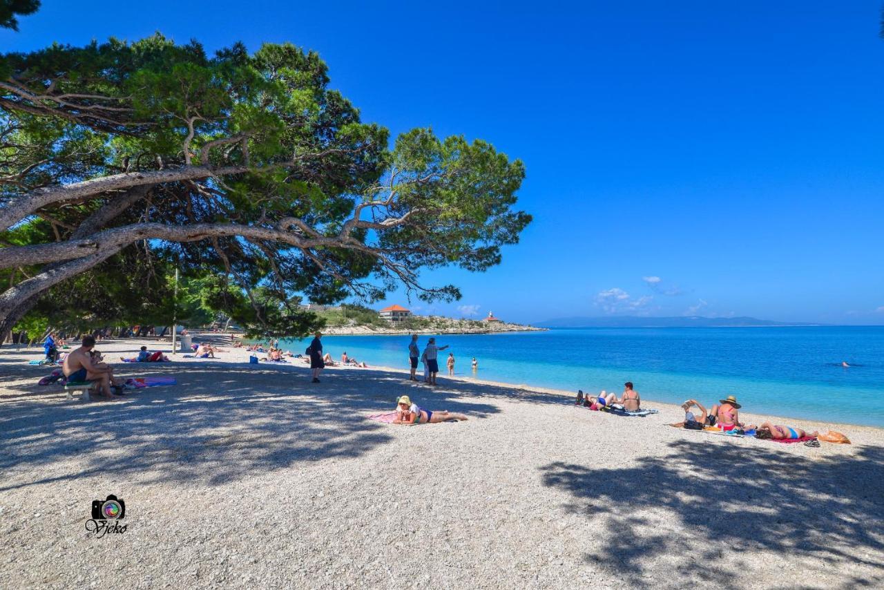 Gudelj Cvitan Makarska